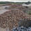 Pigsten / natursten / granitblokke